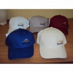 25882 GORRA TFE BORDADA