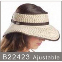 22423 VISERA SRA