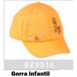29516 GORRA LOONEY 3