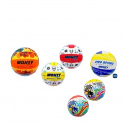 702067 Balón Volley n5