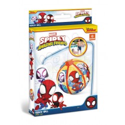 16949 Balón spidey