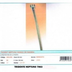 7963 TRIDENTE NEPTUNO