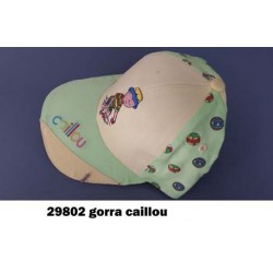 29802 GORRA CAILLOU