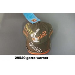 29520 GORRA WARNER